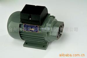 台州市天元电机泵业制造 专业电动机制造商