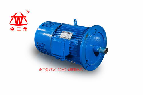 金三角起重电机 品质与多样性的完美结合