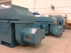 重庆赛力盟电机有限责任公司的电动机制造生产设备